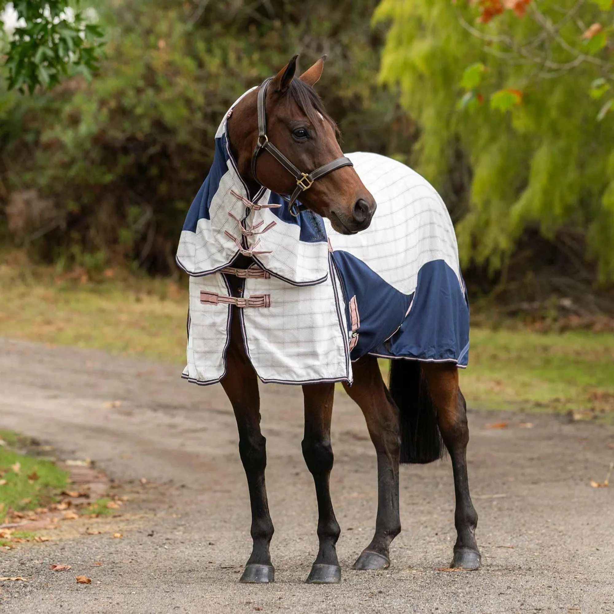 Caribu Alta Hybrid Combo Horse Rug Blushed Ink