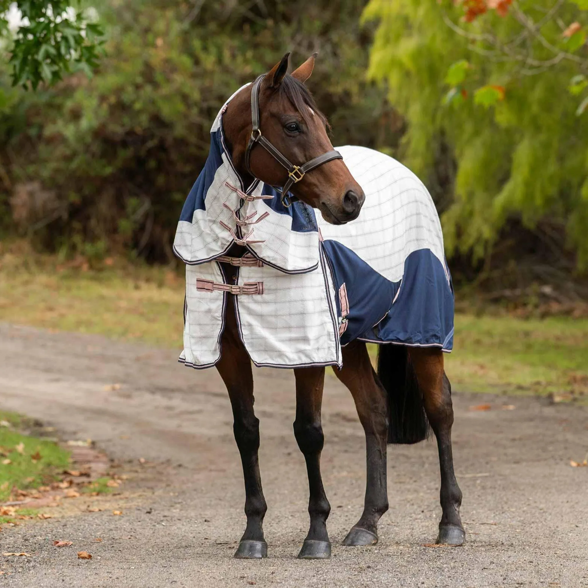 Caribu Alta Hybrid Combo Horse Rug Blushed Ink