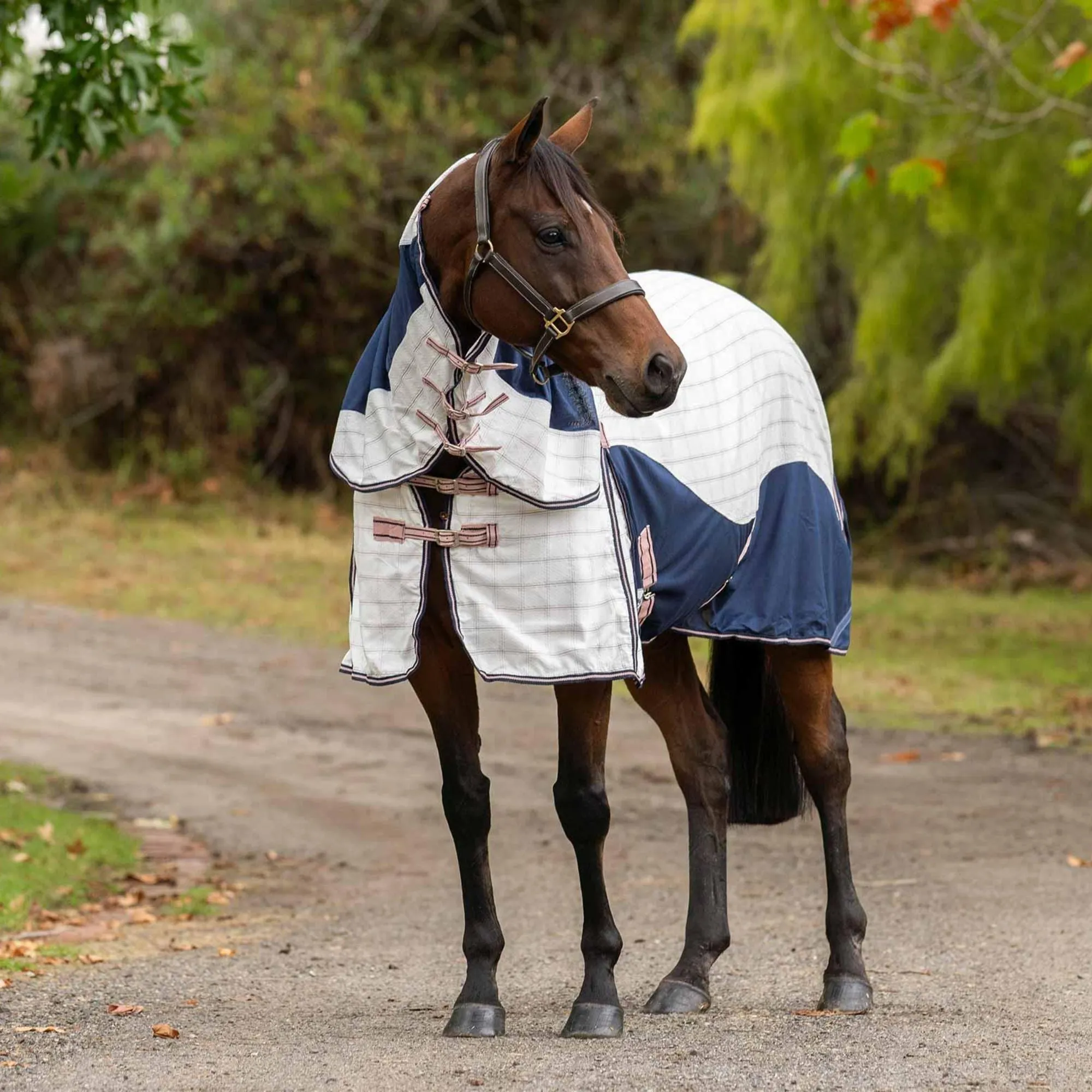 Caribu Alta Hybrid Combo Horse Rug Blushed Ink