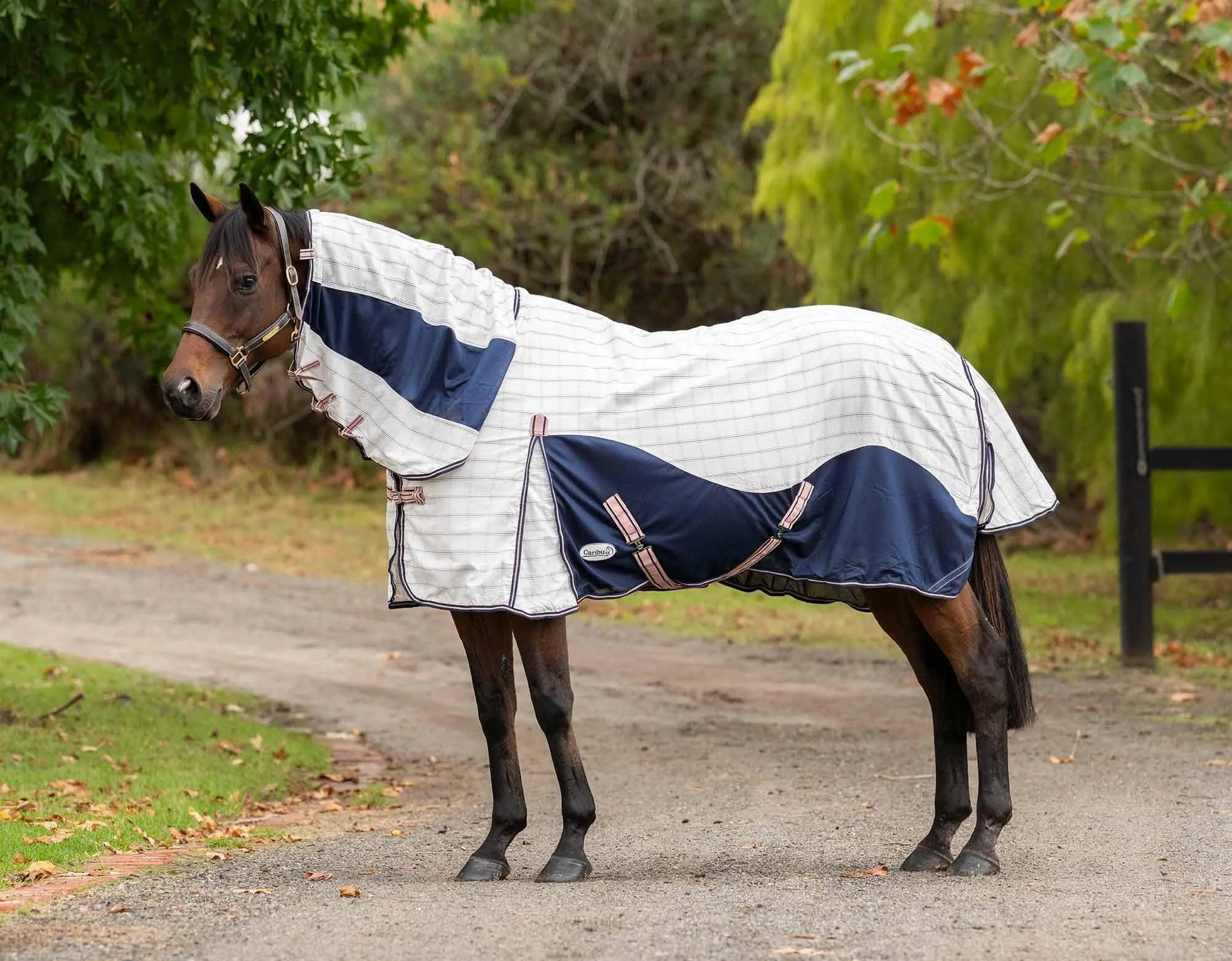 Caribu Alta Hybrid Combo Horse Rug Blushed Ink